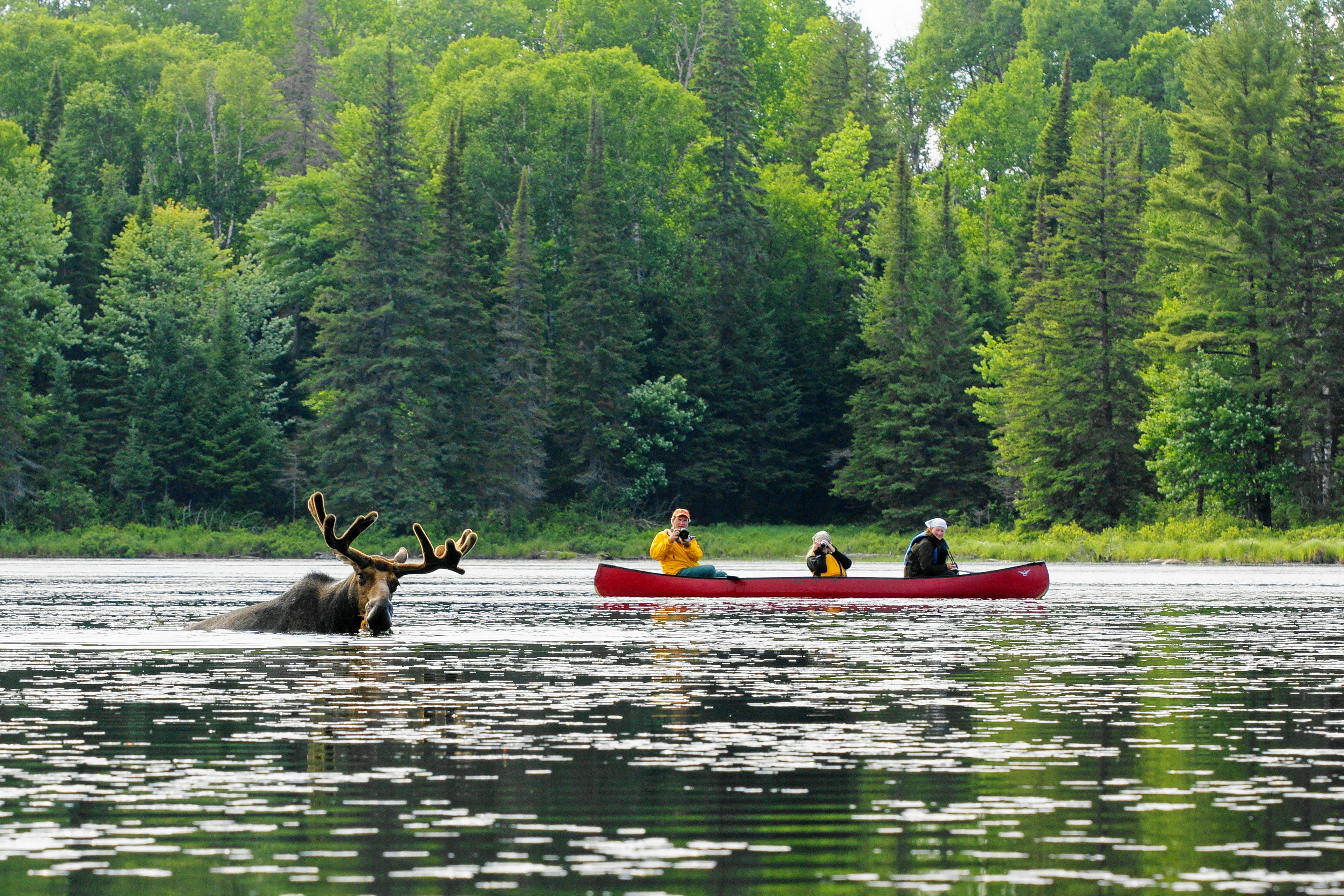 Camping in Ontario - best places to go camping near Toronto