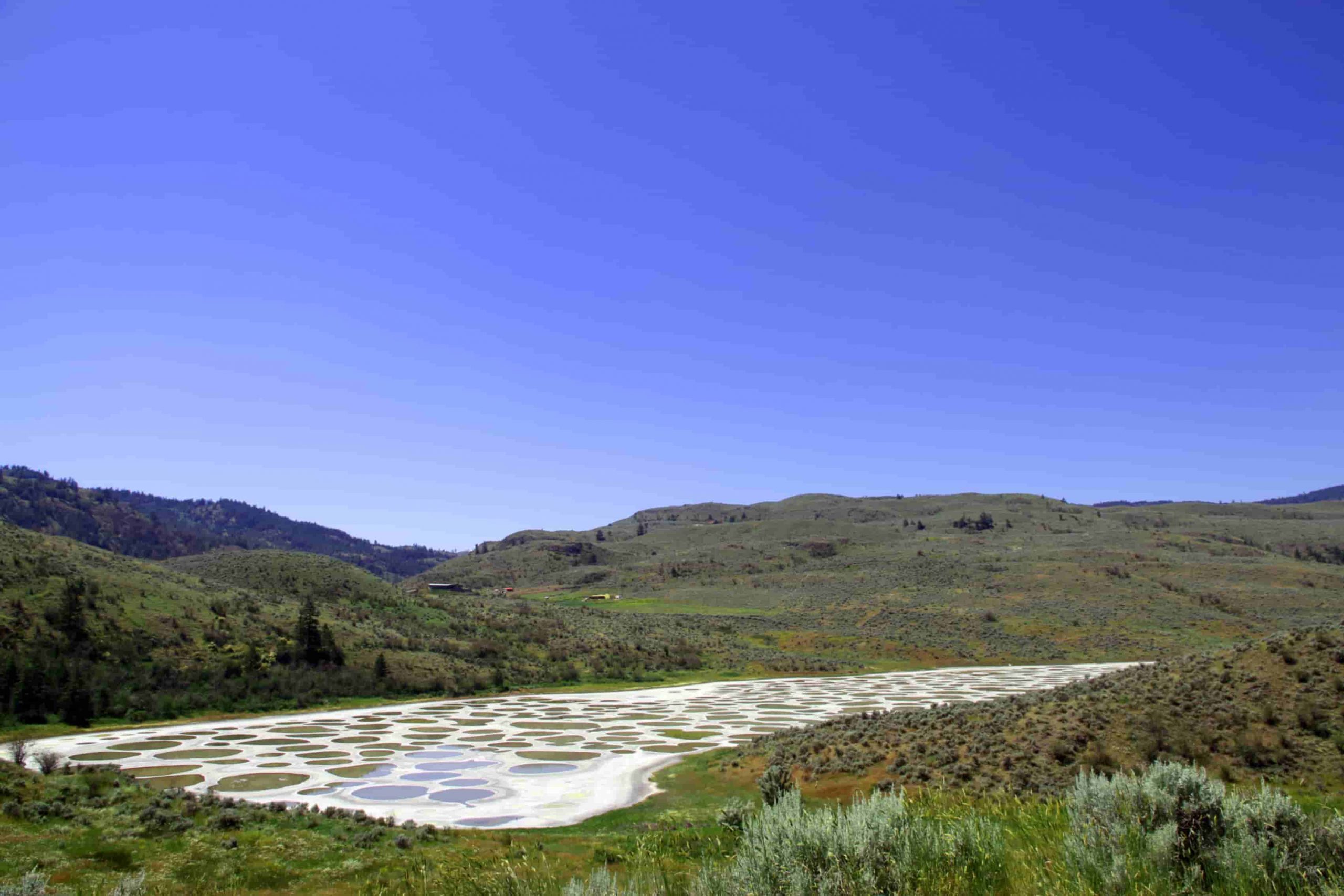 Spotted Lake in British Columbia