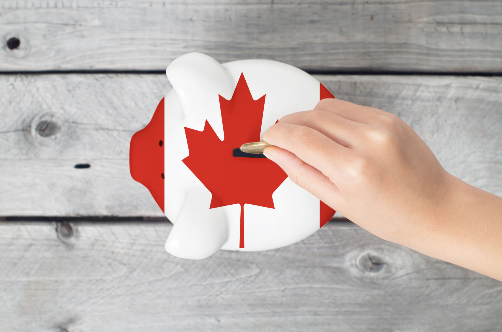 Top 5 Canadian Tax Tips and Myths You Should Know