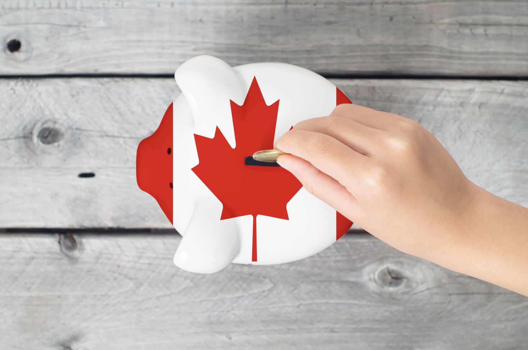 a person adding Canadian money to a piggy bank