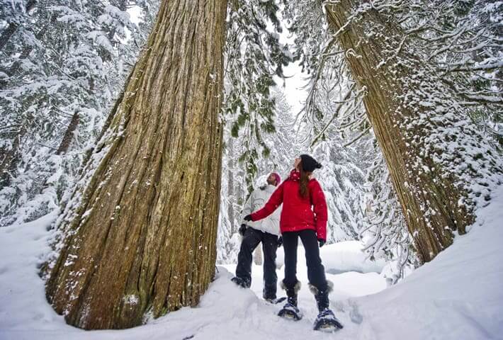 a couple snowshoeing in the mountain