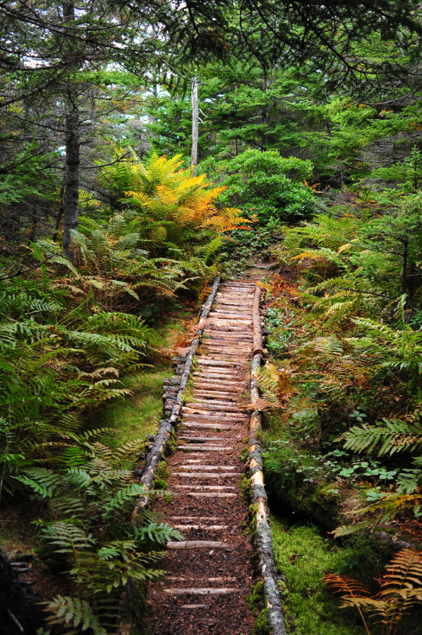 Sentier côtier du cap Chignecto, Nova Scotia