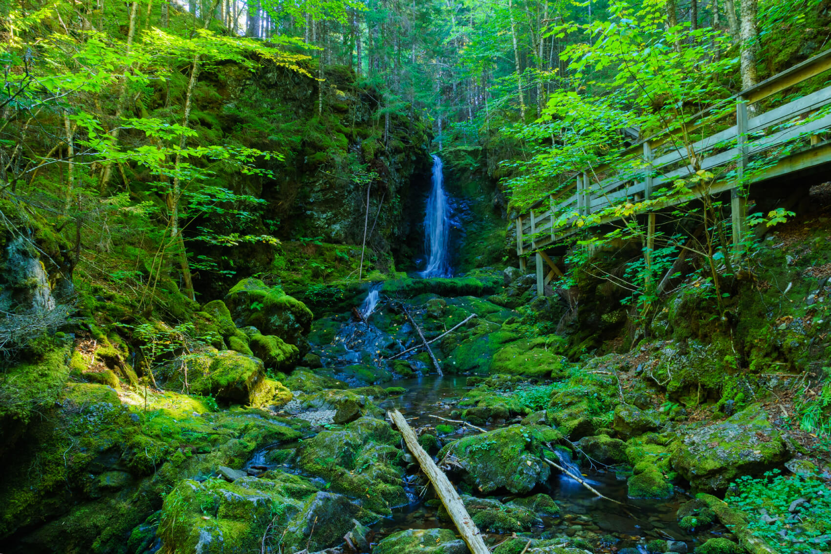 Sentier Fundy au Nouveau-Brunswick, Canada