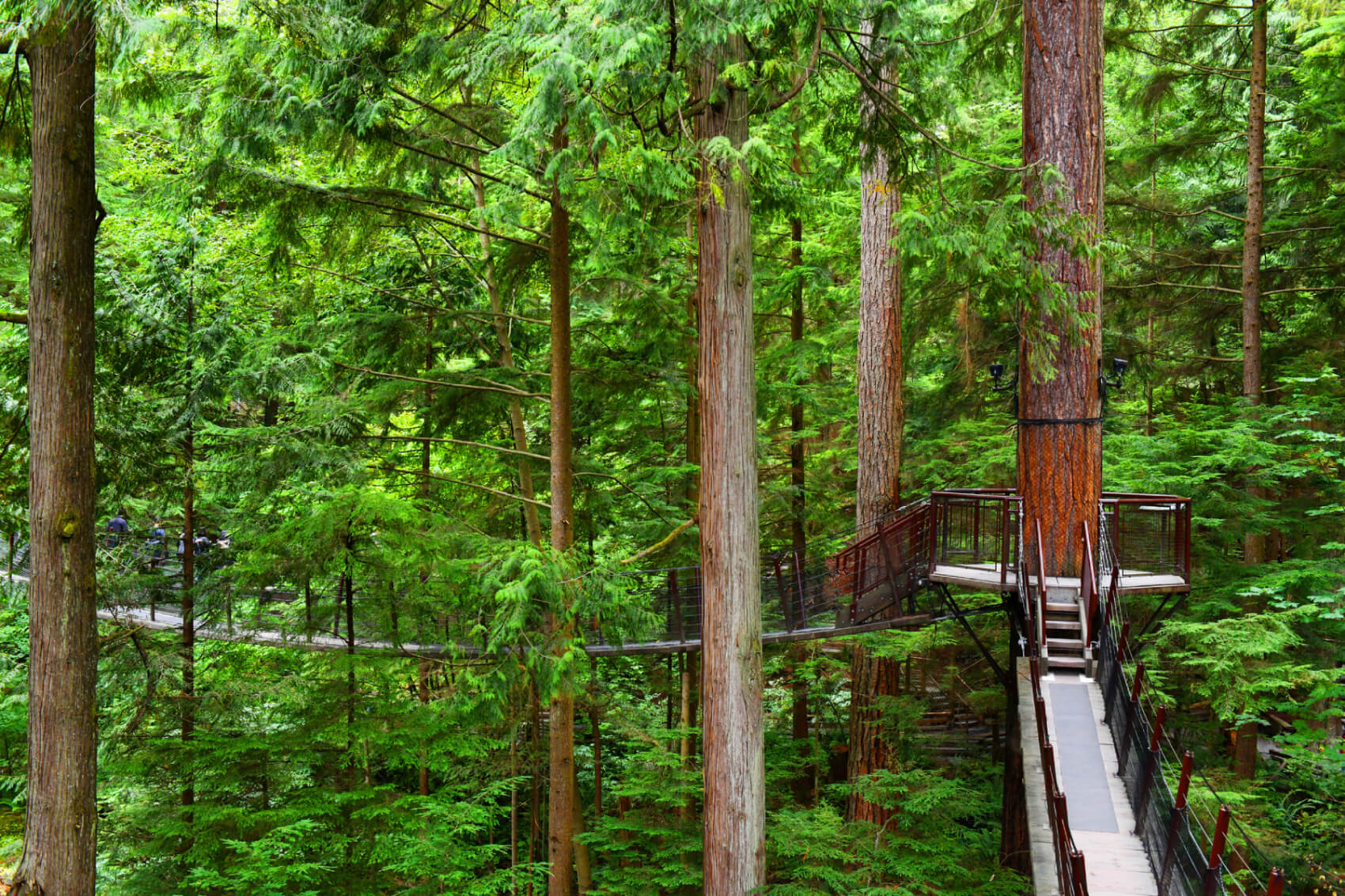 The West Coast Trail In British Columbia