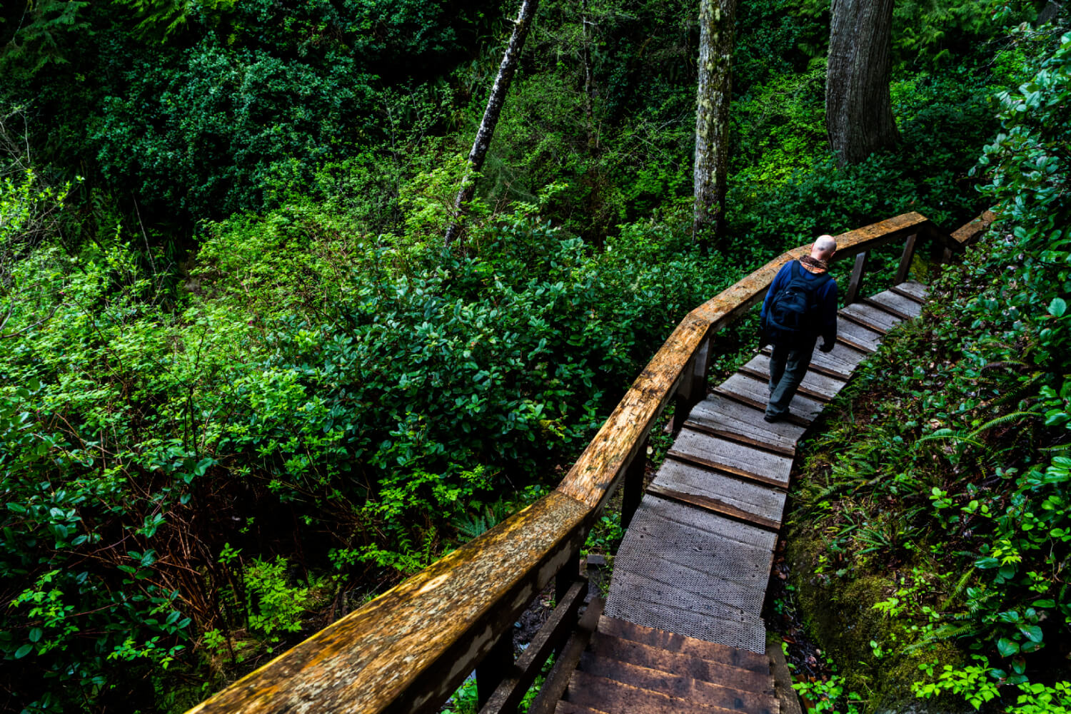 West Coast Trail In British Columbia