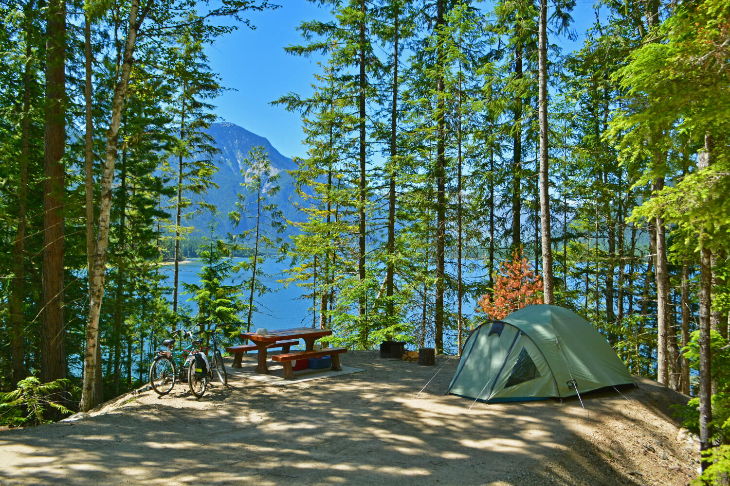 Camping Spot In Canada 