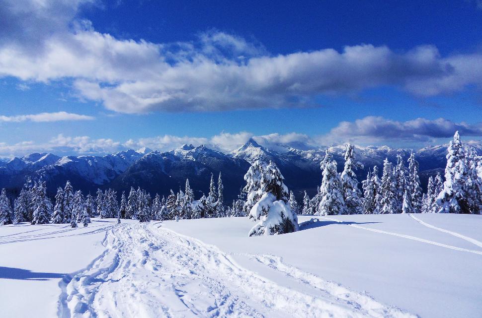 la-meilleure-raquette-neige-en-colombie-britannique-snowshoeing-in