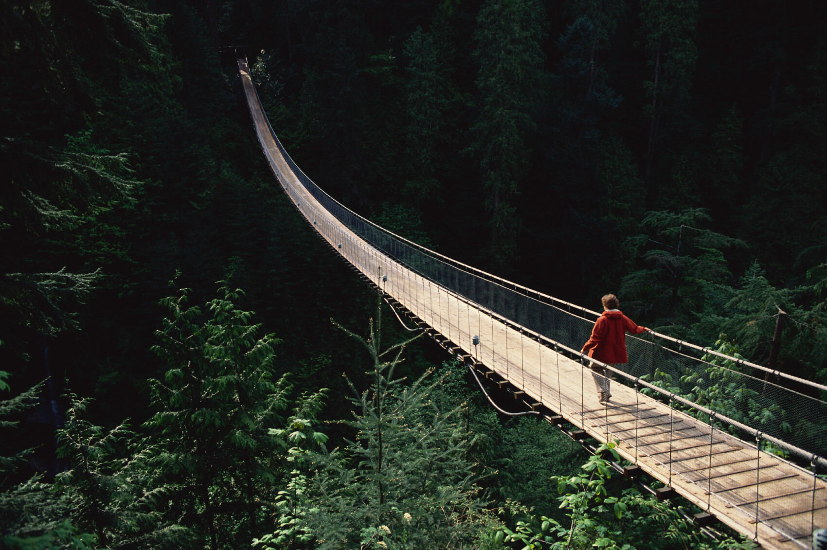 Une personne marchant sur le pont suspendu de Capilano