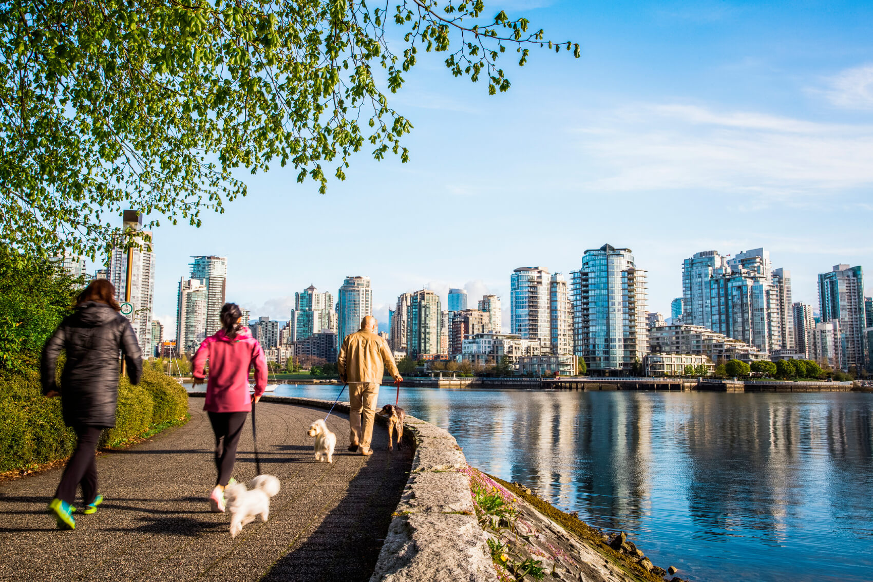 Landscape Of Vancouver, Canada