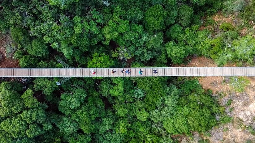 a group of people walking on a bridge
