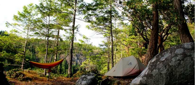 camping spot in the forest