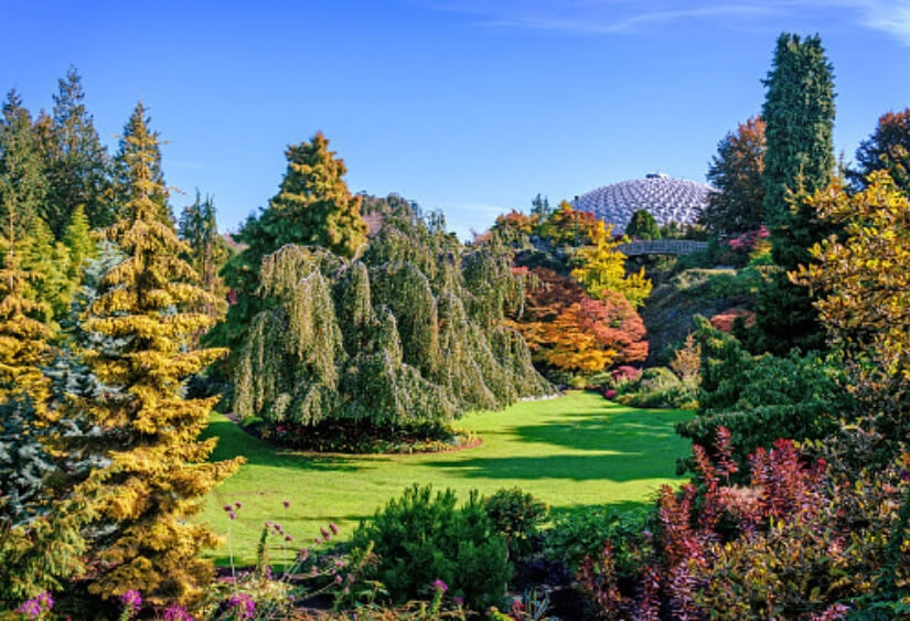 Parc Reine Elizabeth, Vancouver