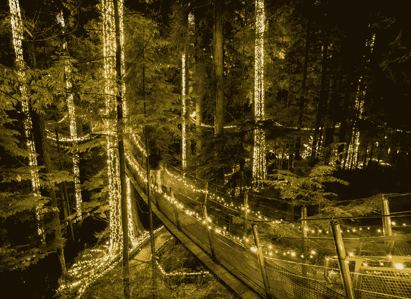 Canyon Lights au pont suspendu de Capilano