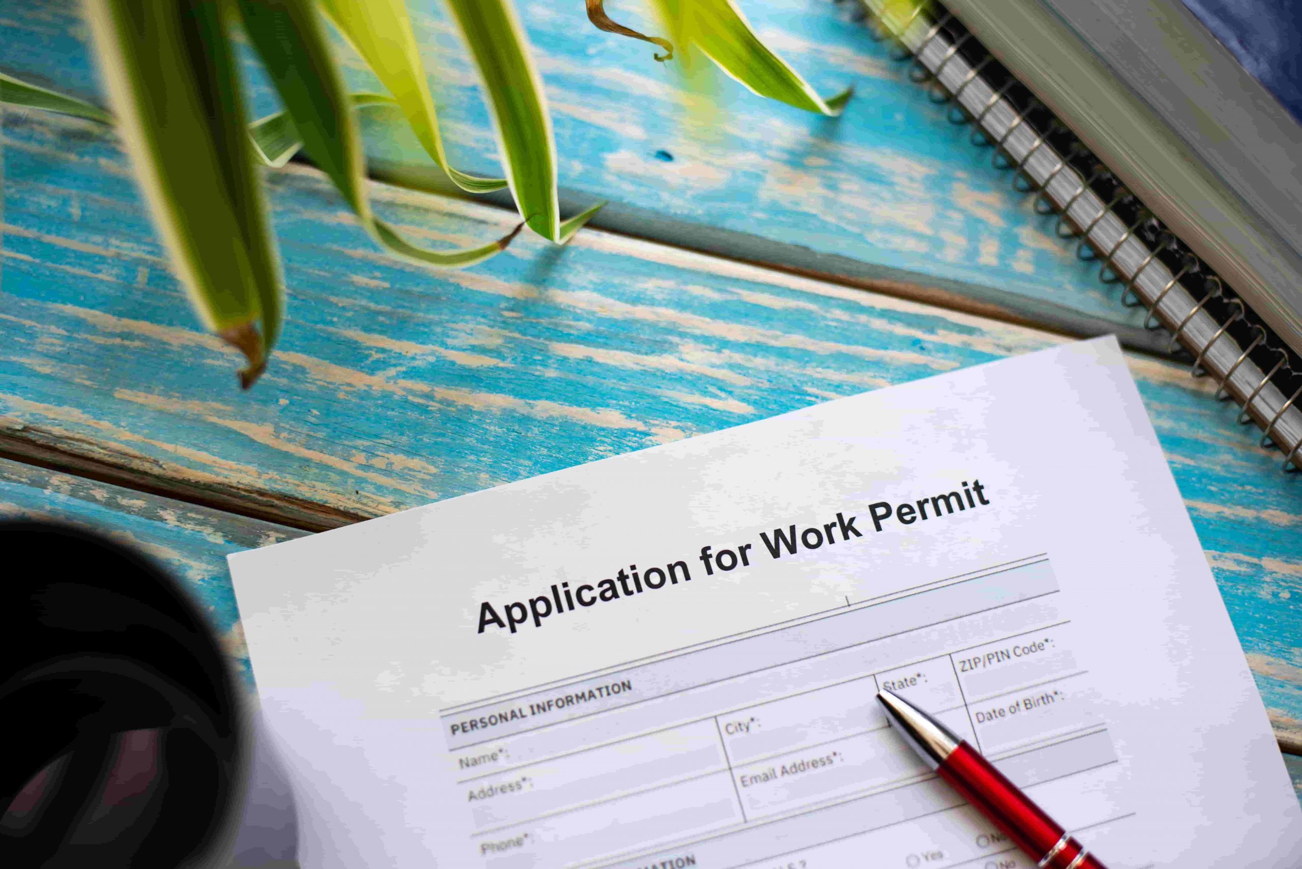 Work Permit Application Form