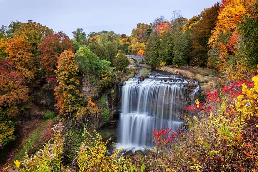 Webster Falls, Canada