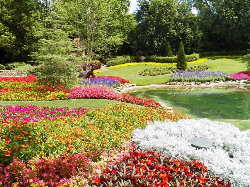 flowers from the botanical garden in Hamilton, Ontario, Canada